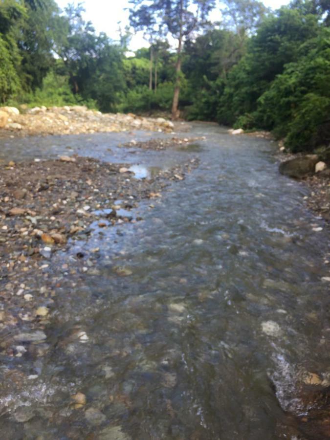 Riverside At Aninuan Accommodation And Food 푸에르토갈레라 외부 사진